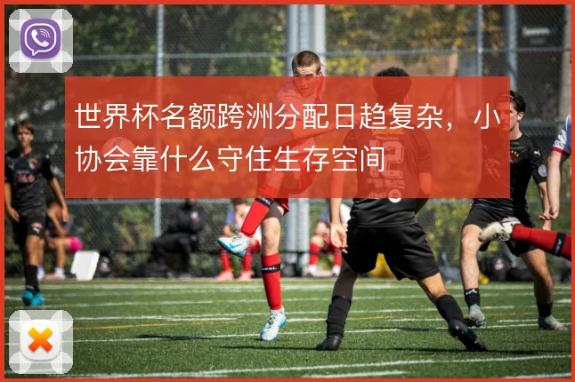 世界杯名额跨洲分配日趋复杂,小协会靠什么守住生存空间