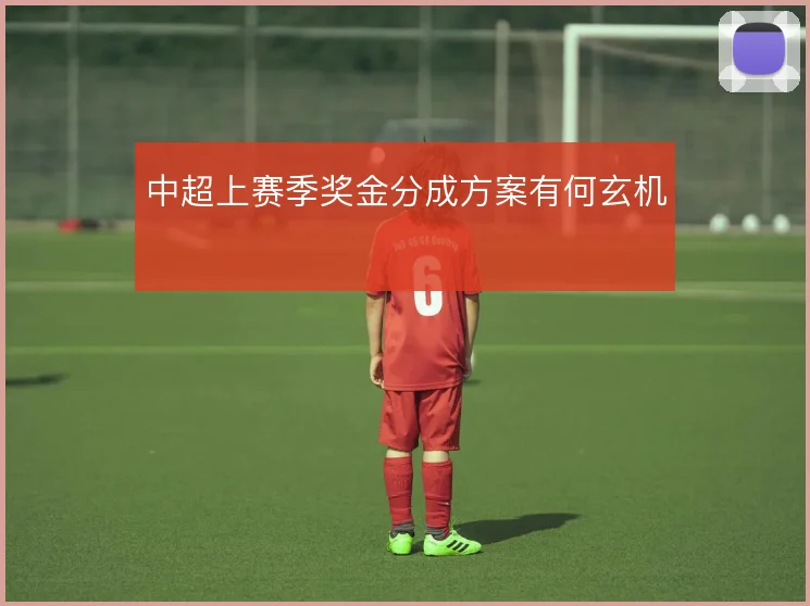中超上赛季奖金分成方案有何玄机