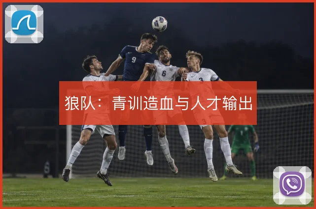 狼队：青训造血与人才输出